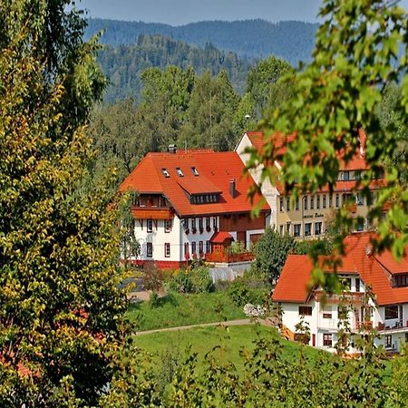 Haus Schlageter Apartment Dachsberg im Schwarzwald Exterior photo