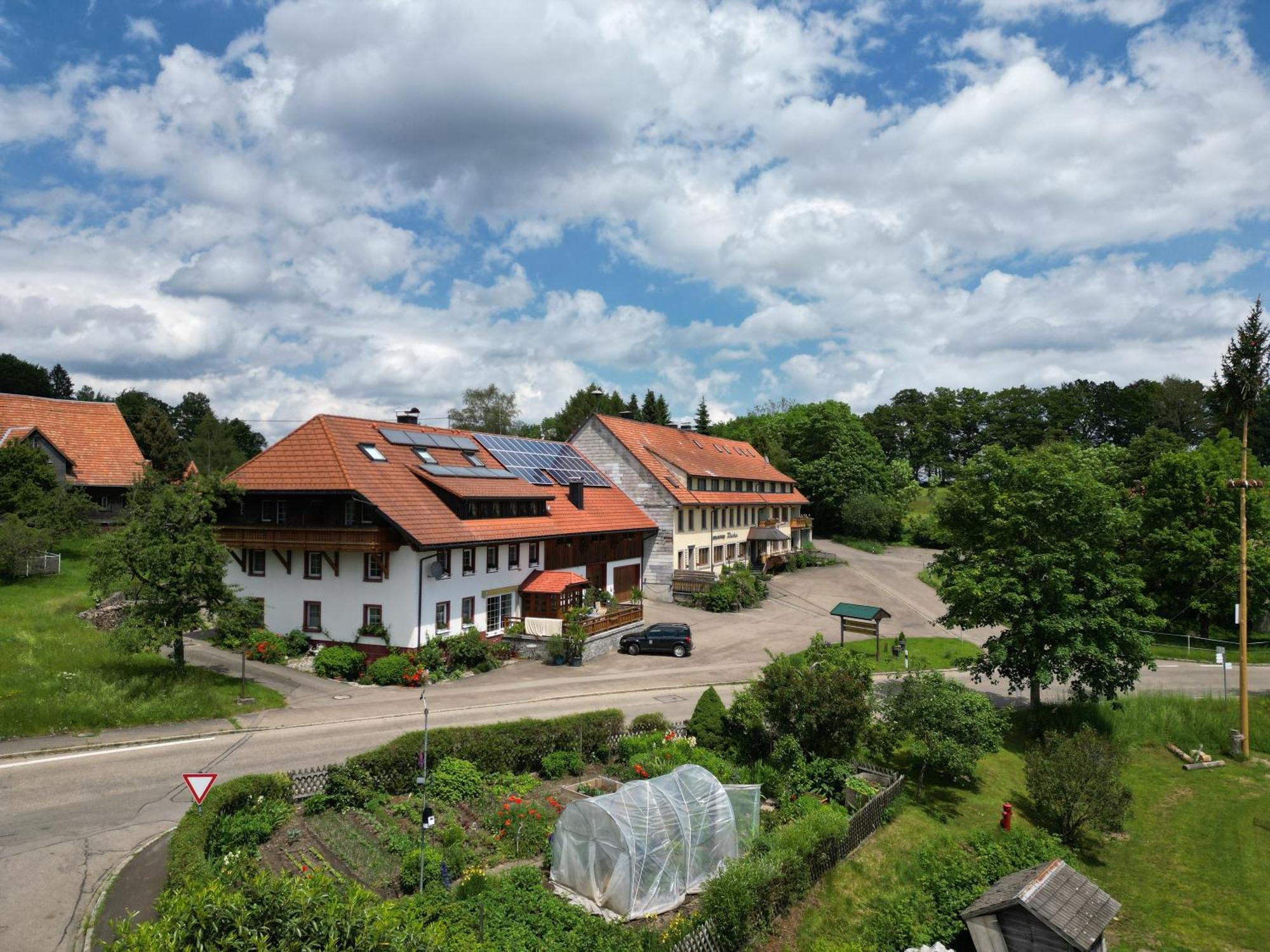 Haus Schlageter Apartment Dachsberg im Schwarzwald Exterior photo
